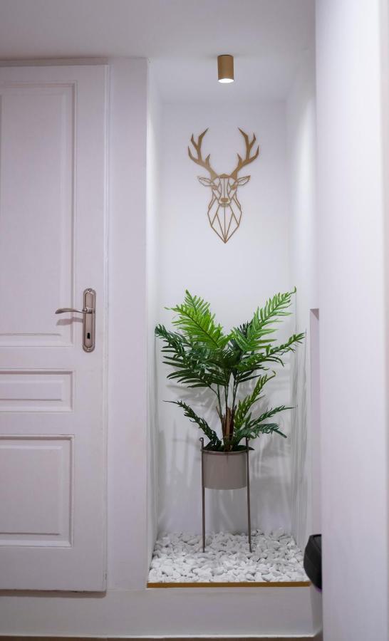 Coban Residence - A3 - Scandinavian Apartment Brassó Kültér fotó